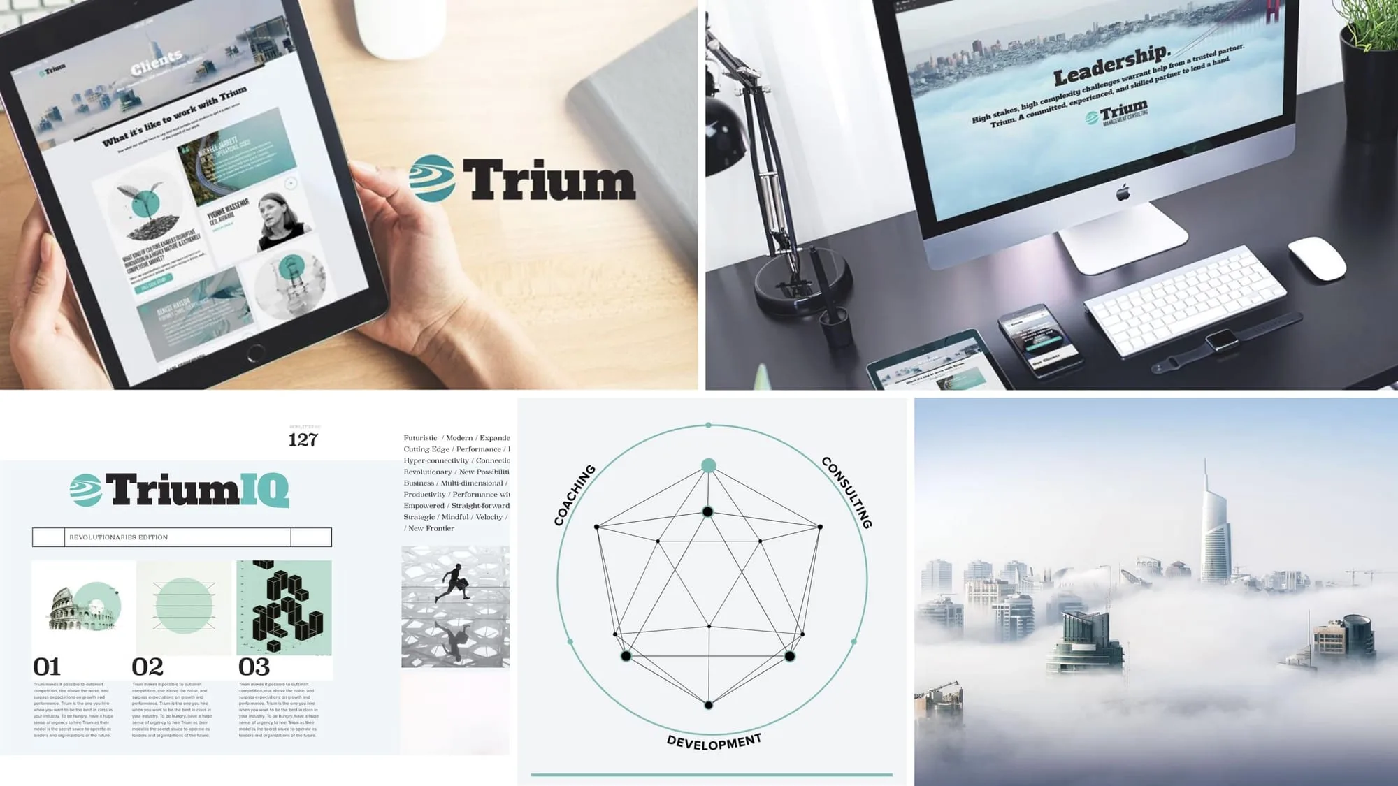 The Trium Group identity and digital work by Madplum Creative.