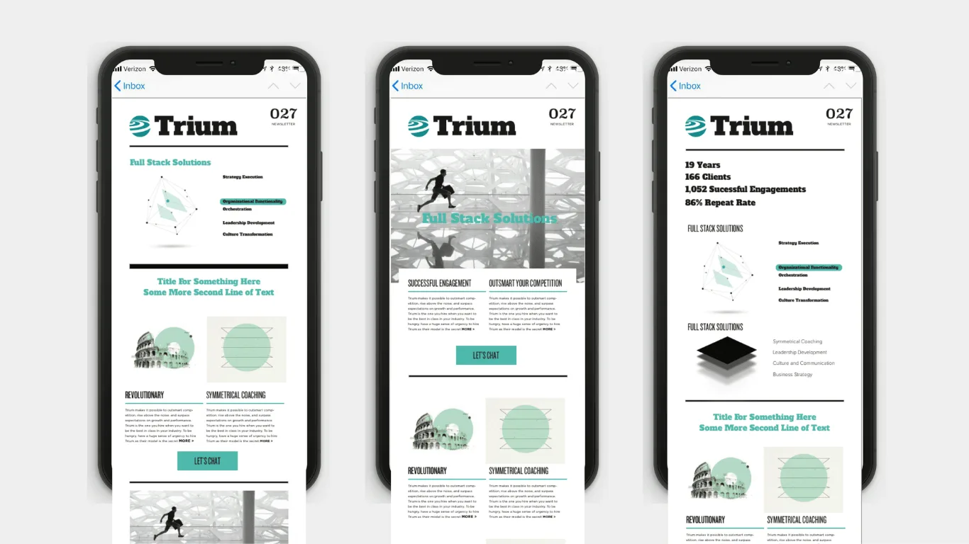 The Trium Group — selected work by Madplum Creative.